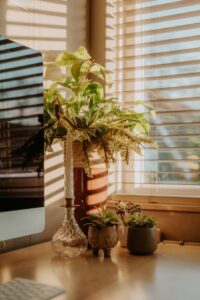 Tips for Creating a Cozy and Productive Home Workspace